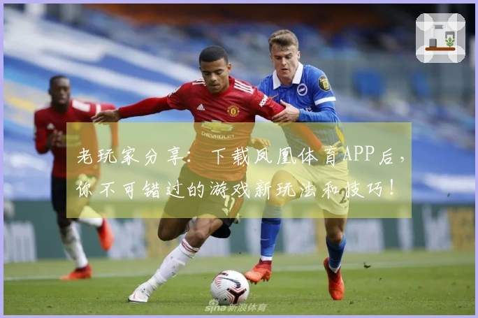 老玩家分享：下载凤凰体育APP后，你不可错过的游戏新玩法和技巧！