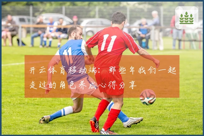 开云体育移动端：那些年我们一起走过的角色养成心得分享